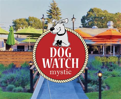 Unleash a Gourmet Experience: Discover the Dog Watch Cafe's paw-some Delights
