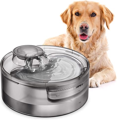 Dog Water Fountain Button