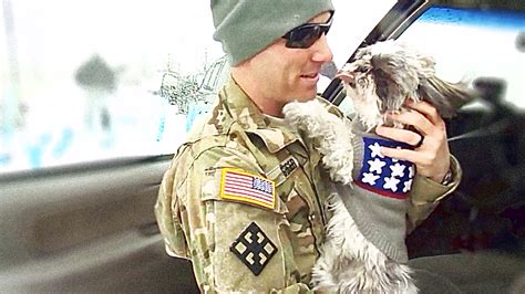 dog welcomes home soldier from afghanistan