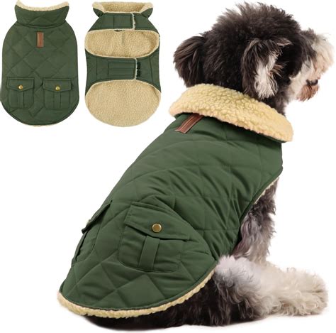 Best Dog Winter Coat Small for Cold Days Protection