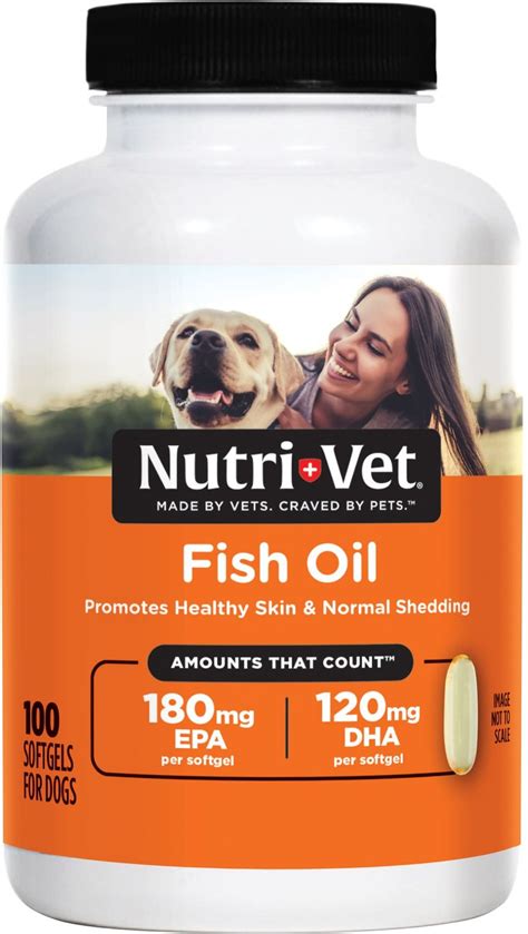 dog with fish oil