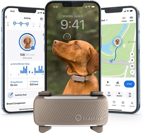 Dog with GPS Tracker