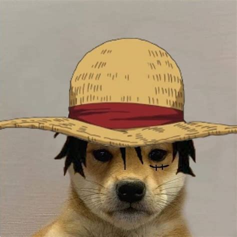 Dog With Luffy Hat