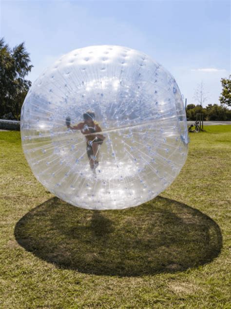 Dog Zorb Ball