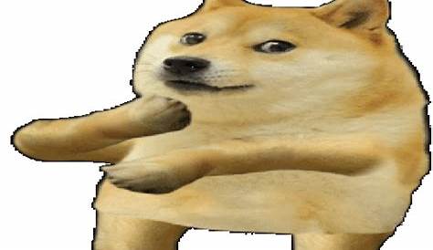 Doge Meme GIFs | Tenor
