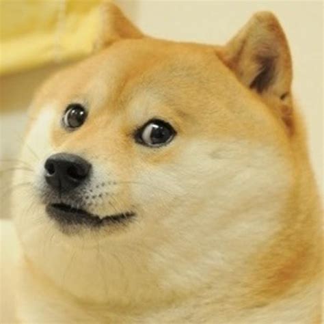 Doge Dog Meme Template