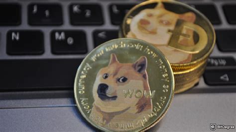 dogecoin payment option