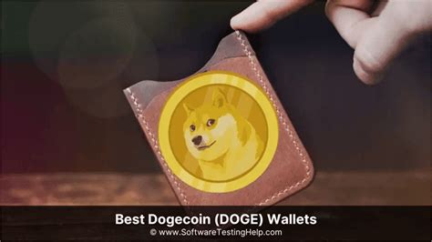 dogecoin top wallet holders