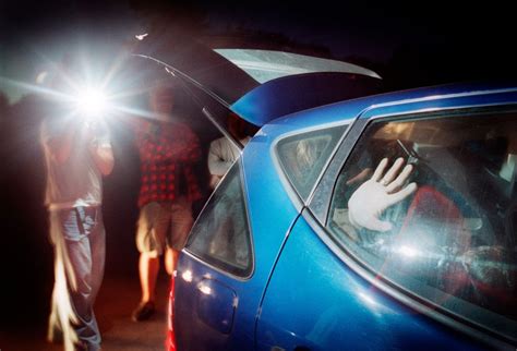 Doggers in Action: Real-Life Encounters with Stubborn Critics