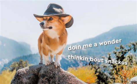Doggo Meme Templates Get Meme Templates