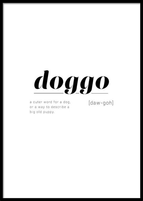 7 Doggo Words