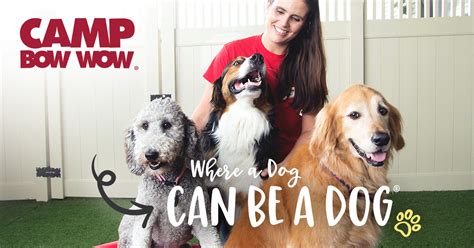 doggy bow wow camp