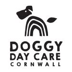 doggy day care service in hayle