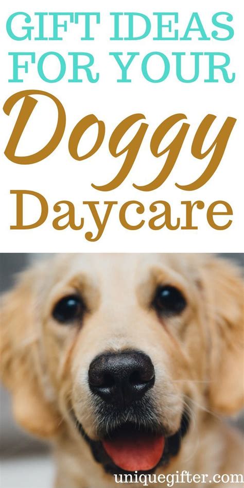 doggy daycare gift ideas