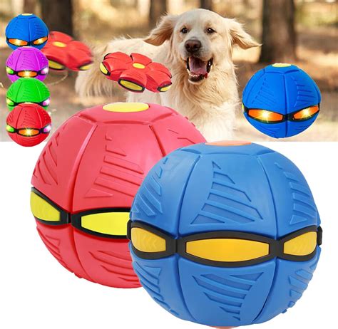 doggy disc ball australia