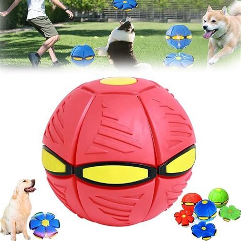 doggy disc ball ebay