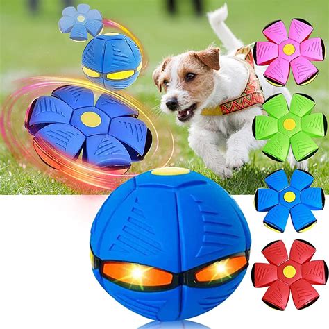 doggy disc ball video