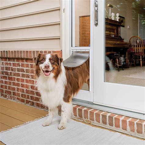 doggy door for sliding door