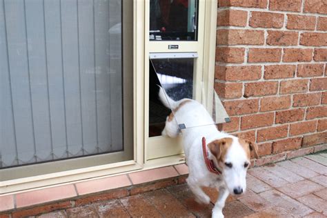 doggy door for sliding door perth