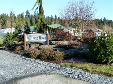 doggy haven resort bothell wa