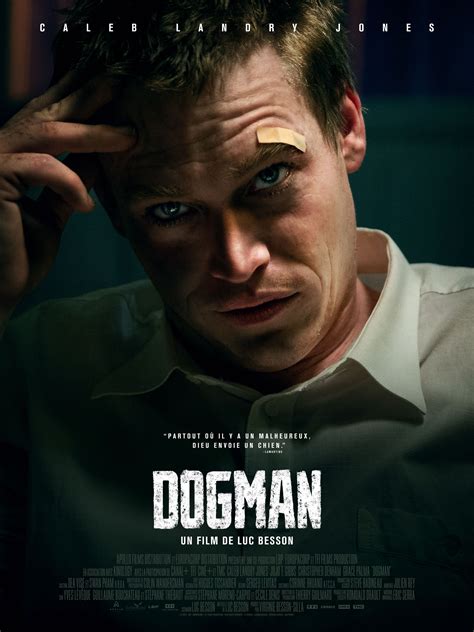 dogman film streaming 2023