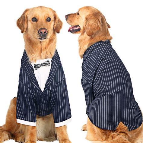 dogo clothes for dogs
