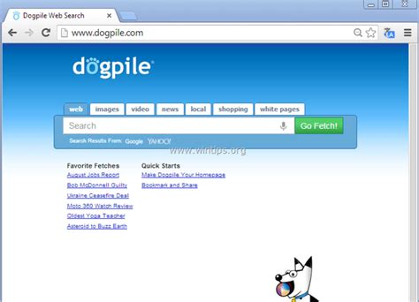 dogpile web browser