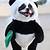dogs in panda costume