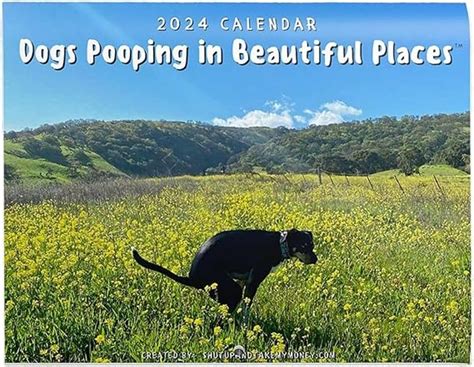 Dogs Pooping In Beautiful Places Calendar