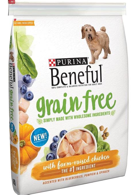 dogs and grain free diet