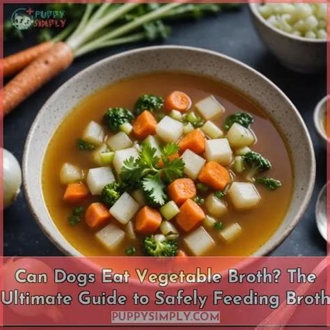 Dogs And Vegetable Broth