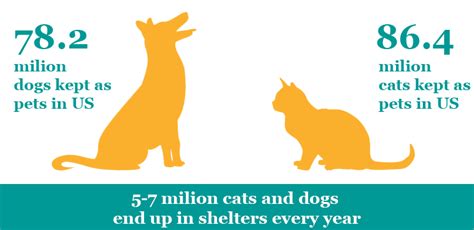 dogs are better than cats statistics