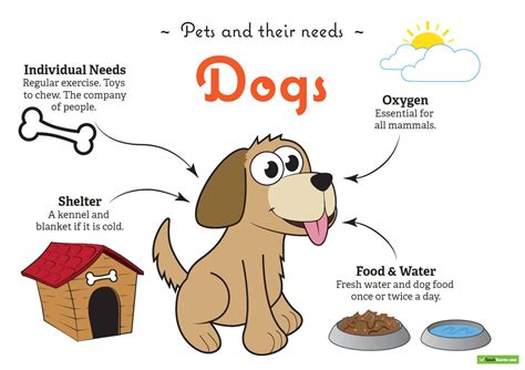 dogs basic needs