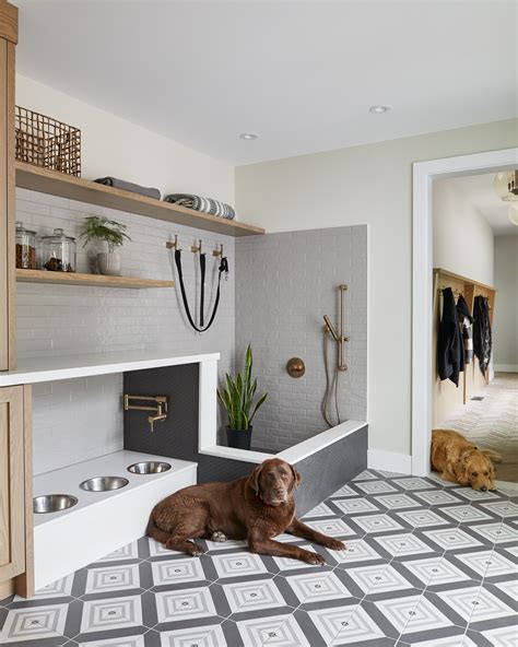 Cool Dogs Bathroom Ideas