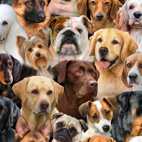 Dog Breeds - A Comprehensive Guide