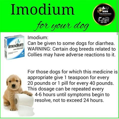dogs imodium dose for dogs