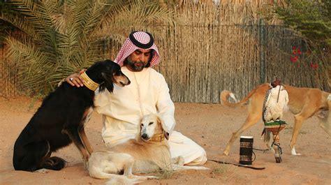 dogs in abu dhabi