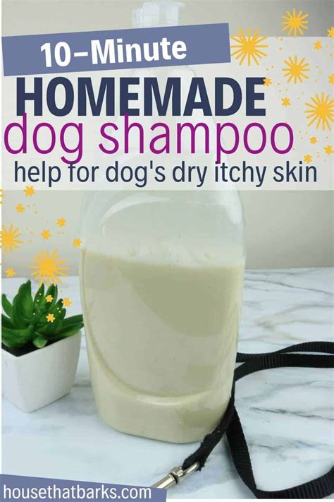 dogs itchy skin solutions