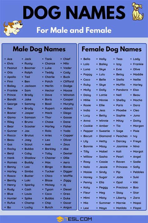 10 Popular Dogs Names For 2023