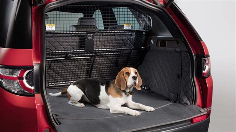 dogs travelling in cars uk law