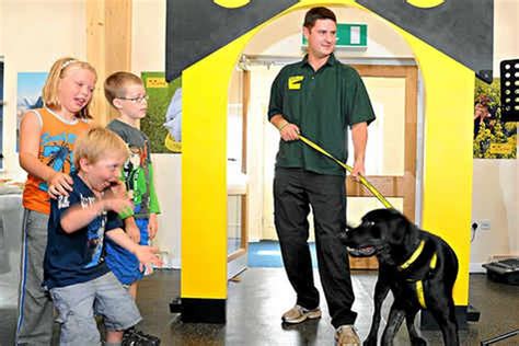 dogs trust in telford