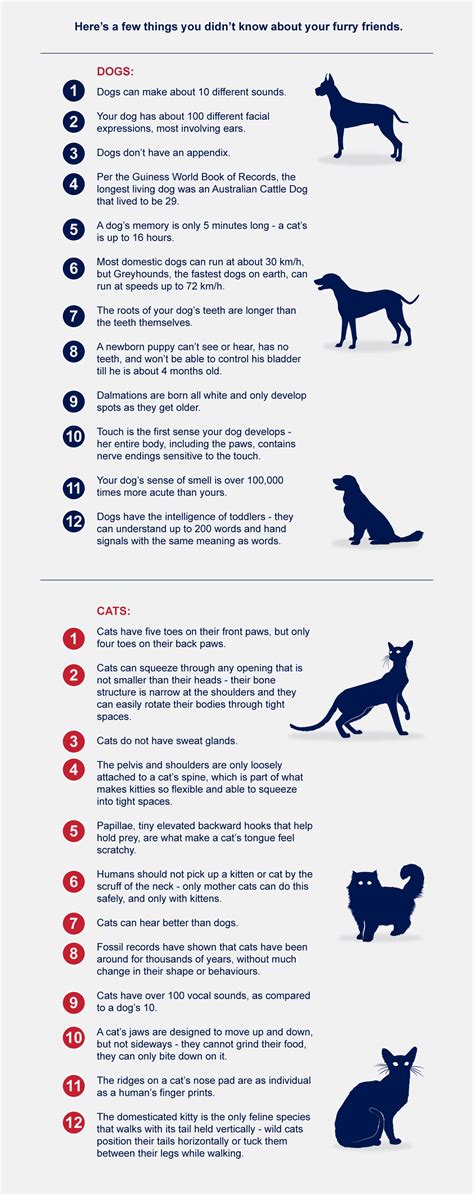 dogs vs cats facts