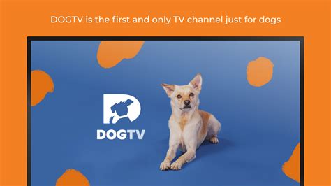 dogtv.com