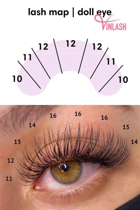 Doll Eye Eyelash Extensions Map