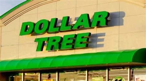 Dollar Tree Background Check: What You Need to Know Before Applying