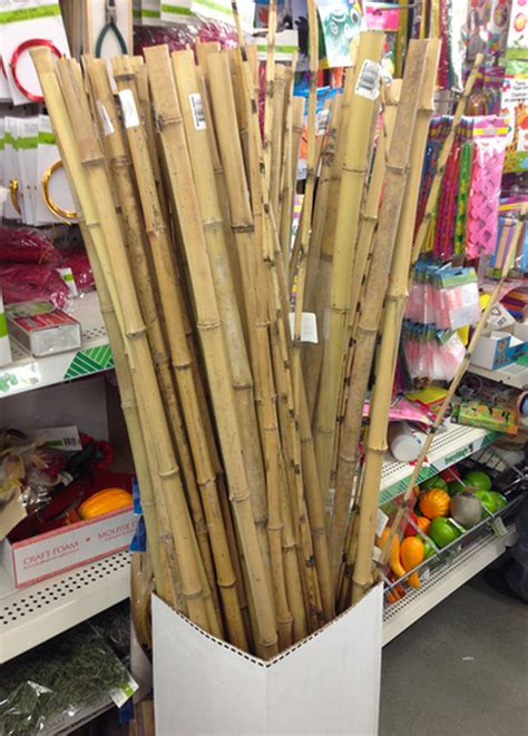 Dollar Tree Bamboo