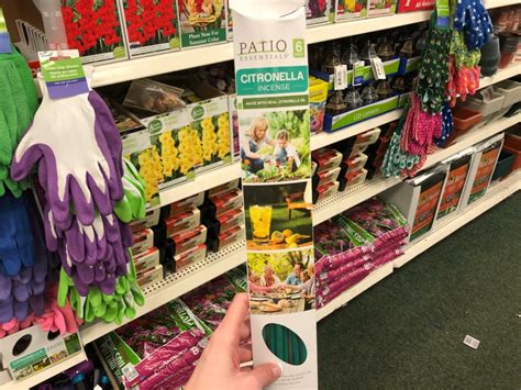 Dollar Tree Citronella