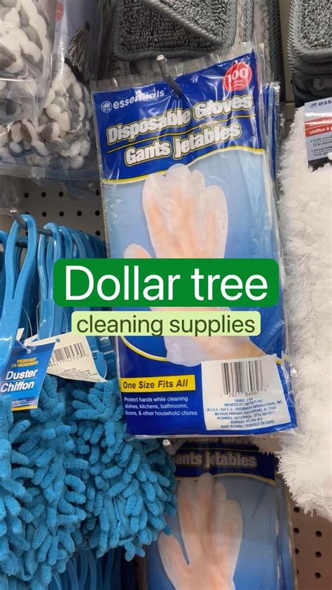 Dollar Tree Cleaning Brushes
