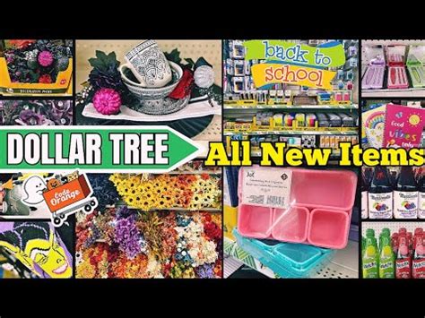 dollar tree code
