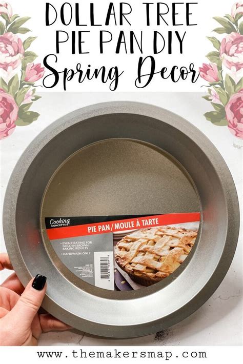 Dollar Tree Litter Pan